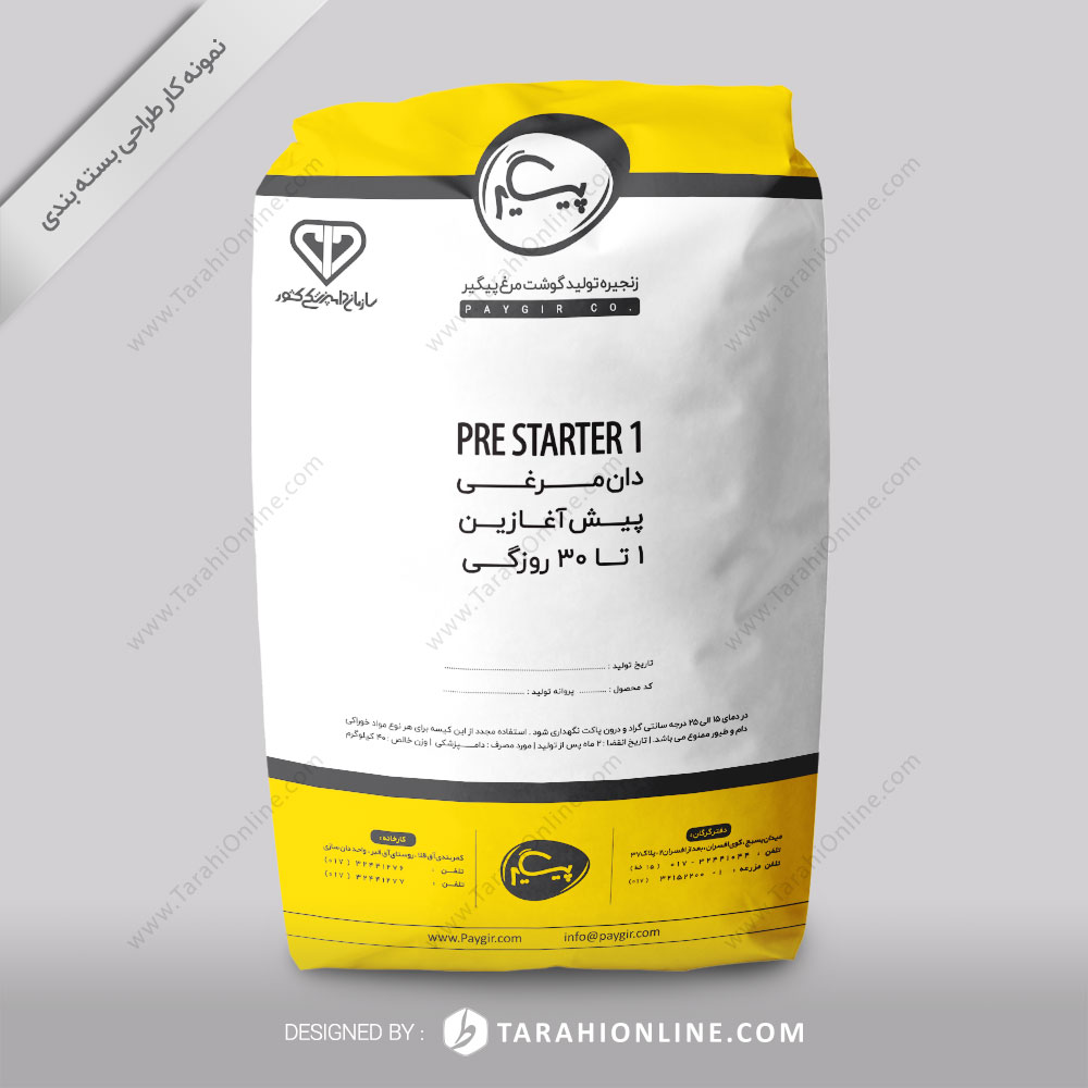 Packaging Design for Paygir 1 3