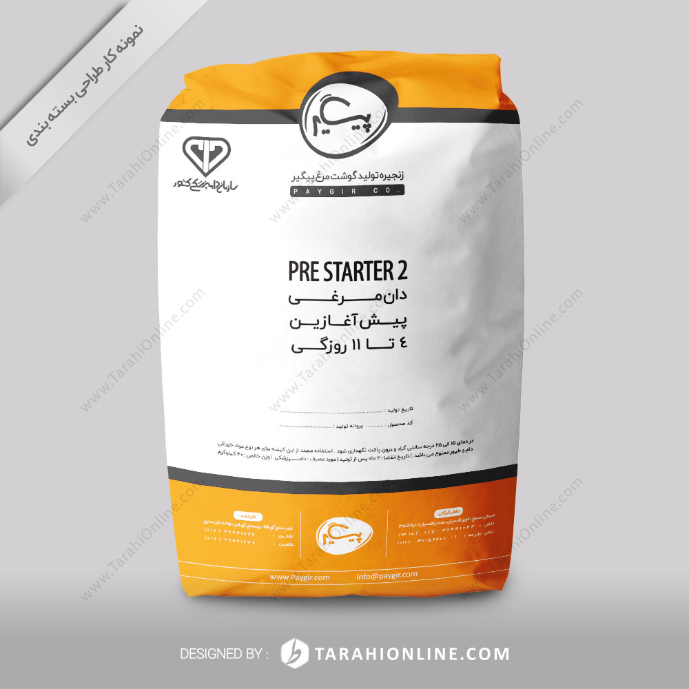 Packaging Design for Paygir 4 11