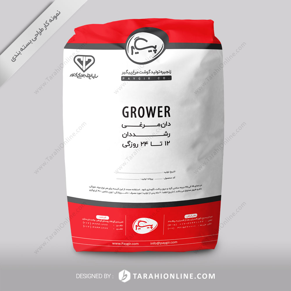 Packaging Design for Paygir 12 24