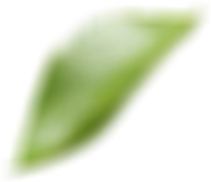 Leave