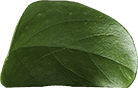 Leave3