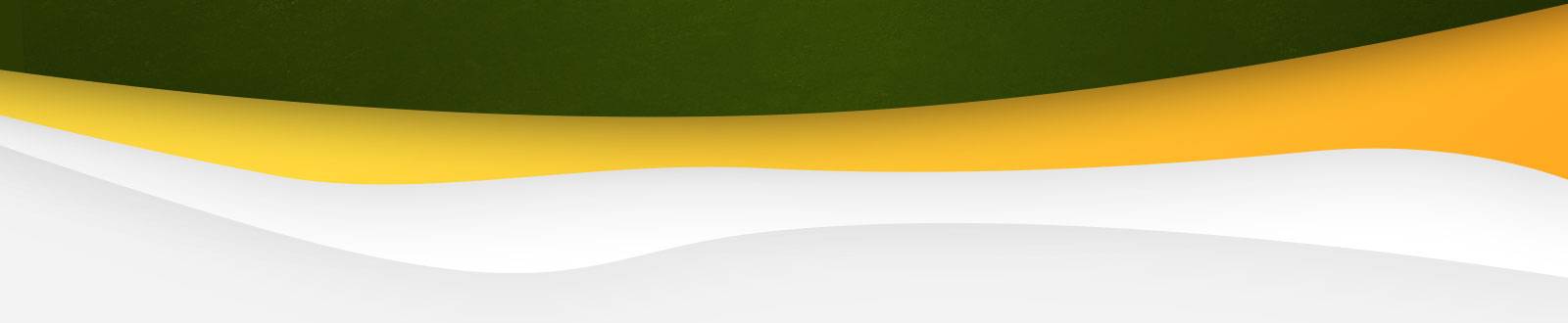 logosliderafter