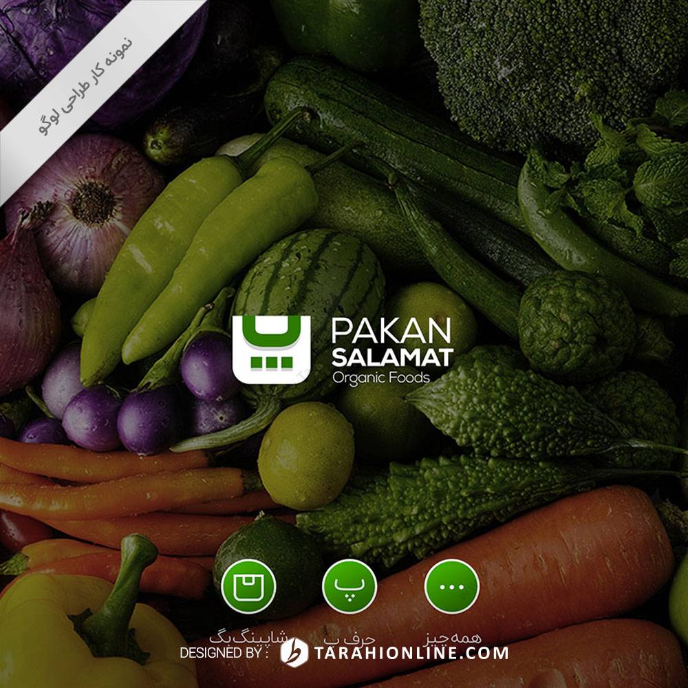 Logo Design for Pakan Salamat Iranian - Image 2