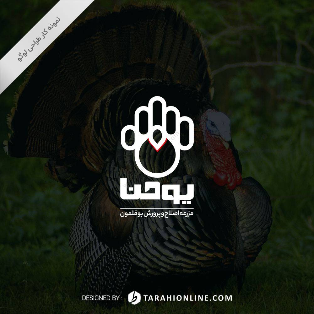 طراحی لوگو مزرعه اصلاح و پرورش بوقلمون یوحنا - تصویر 2